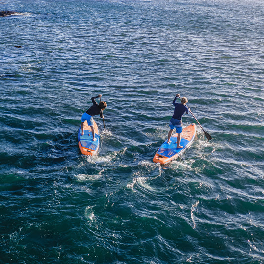 Paddle Progression 1-2-2